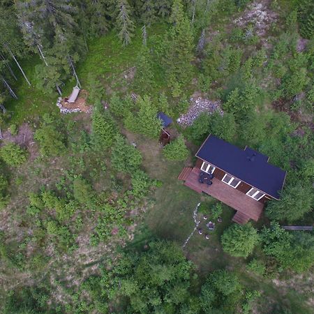 Cozy Forest Cabin With Amazing Mountain View トーシュビュー エクステリア 写真