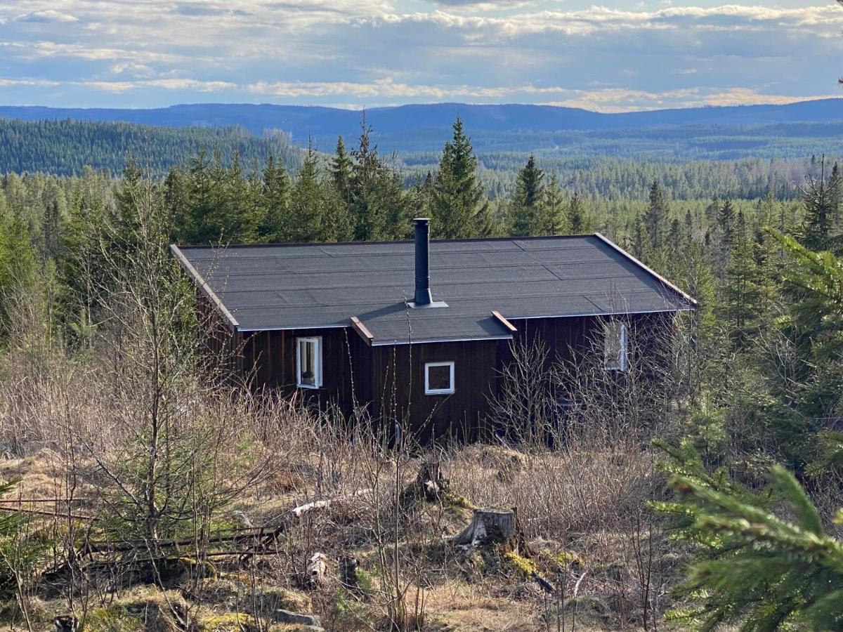 Cozy Forest Cabin With Amazing Mountain View トーシュビュー エクステリア 写真