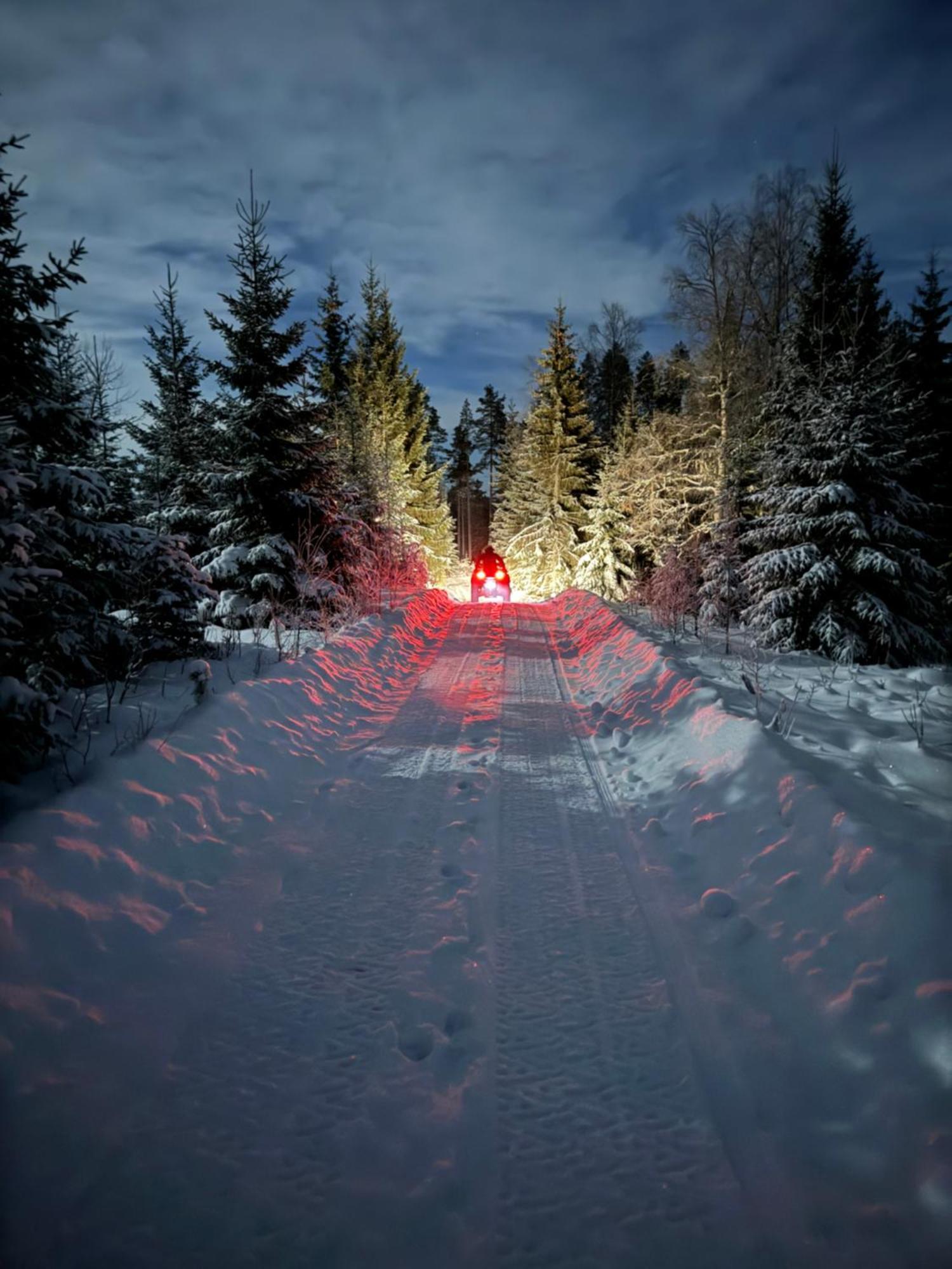 Cozy Forest Cabin With Amazing Mountain View トーシュビュー エクステリア 写真
