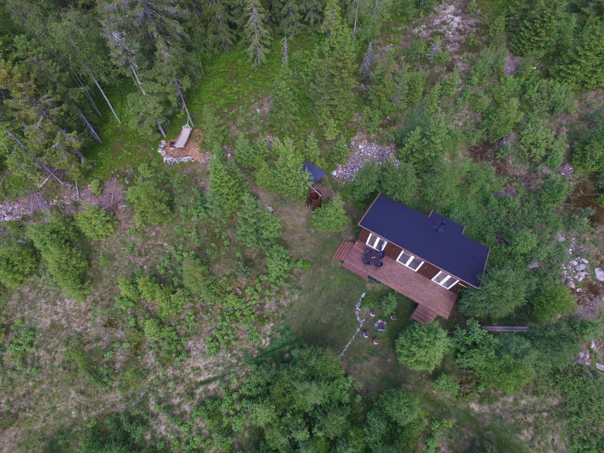 Cozy Forest Cabin With Amazing Mountain View トーシュビュー エクステリア 写真